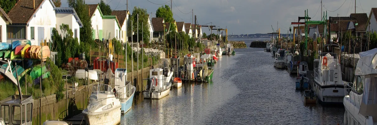 Image Entreprise monte escalier Arès
