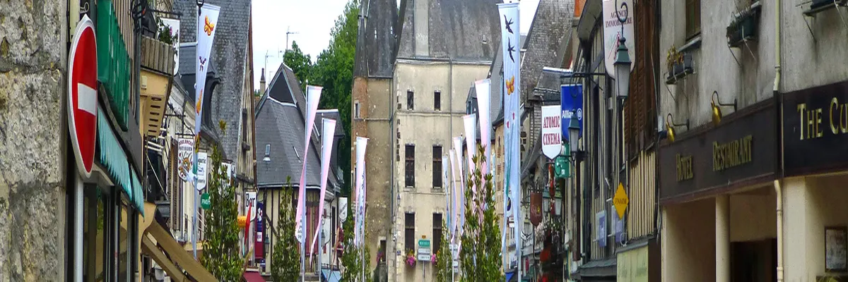 Image Entreprise monte escalier Aubigny-sur-Nère