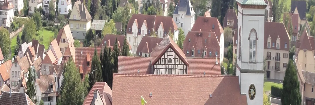 Image Entreprise monte escalier Barr