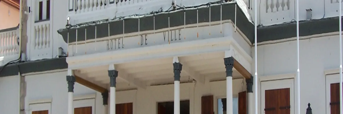 Image Entreprise monte escalier Basse-Terre