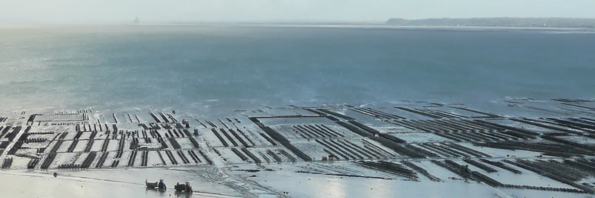 Image Entreprise monte escalier Cancale