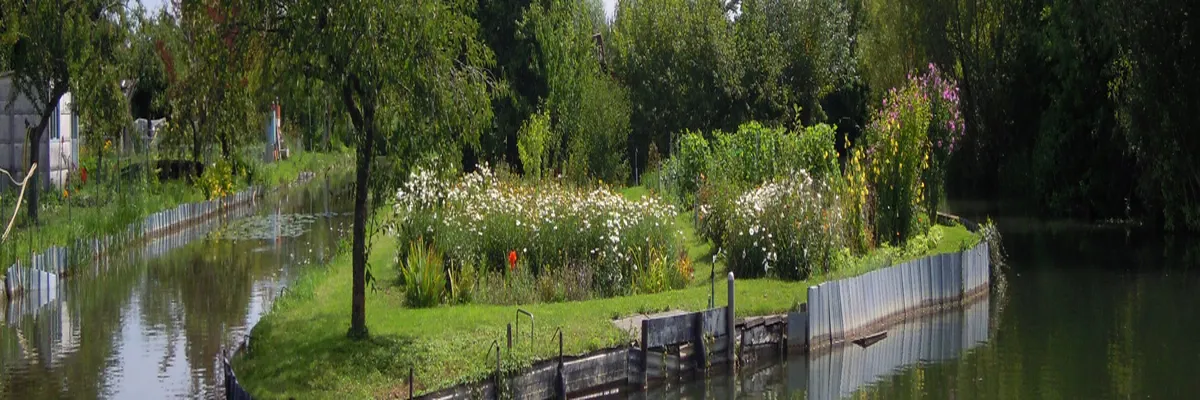 Image Entreprise monte escalier Cher