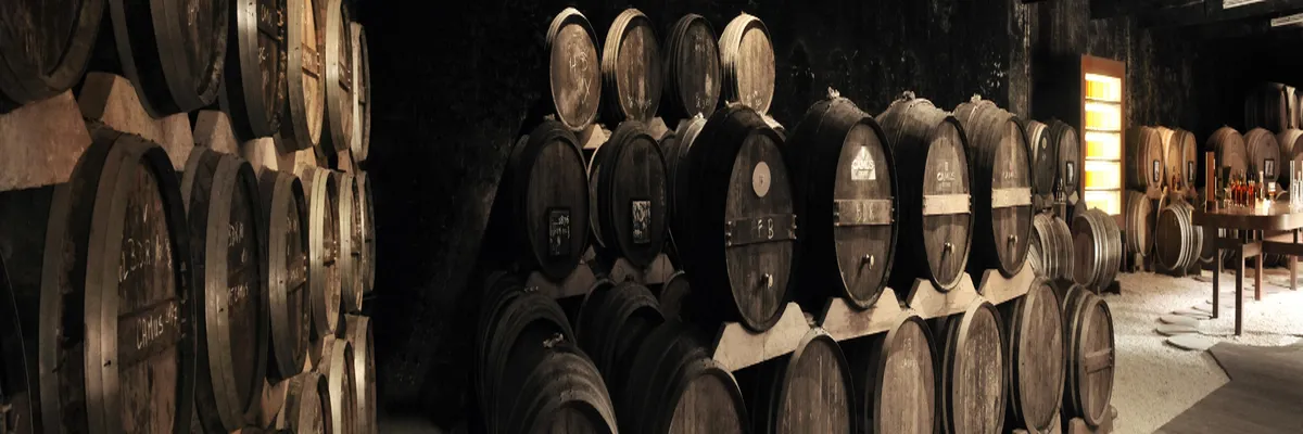 Image Entreprise monte escalier Cognac