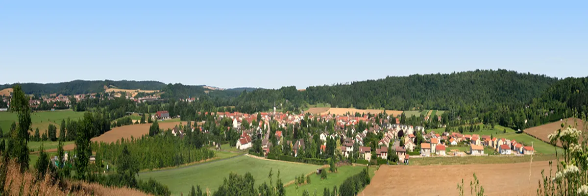 Image Entreprise monte escalier Commercy