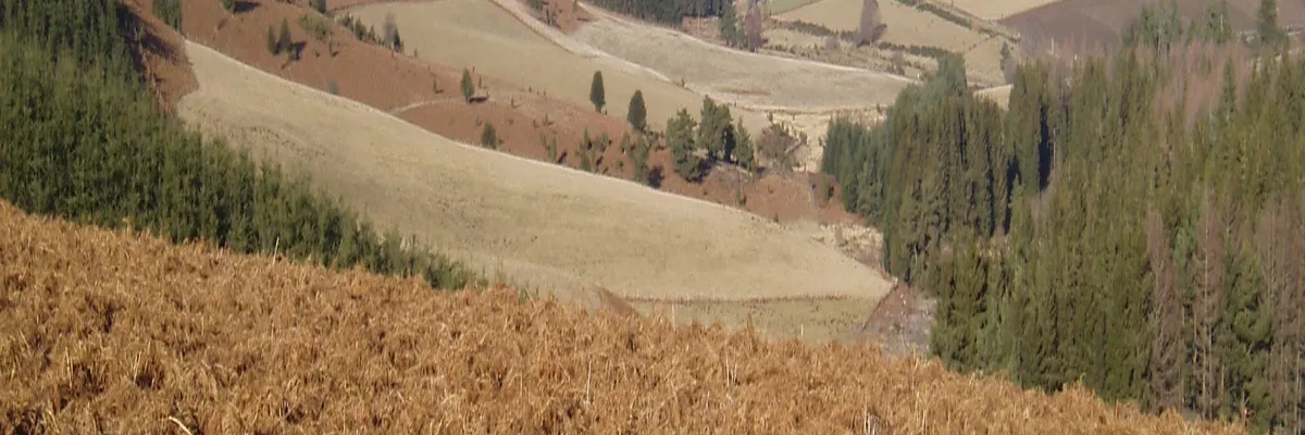 Image Entreprise monte escalier Creuse