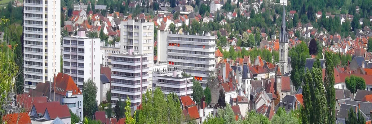 Image Entreprise monte escalier Cusset