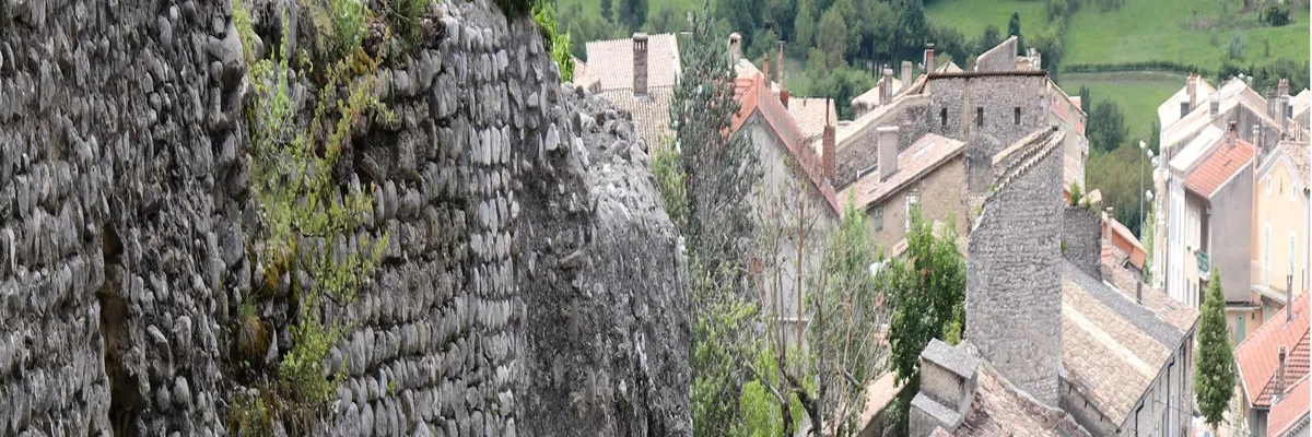 Image Entreprise monte escalier Die