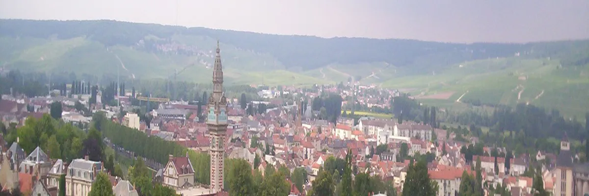 Image Entreprise monte escalier Épernay