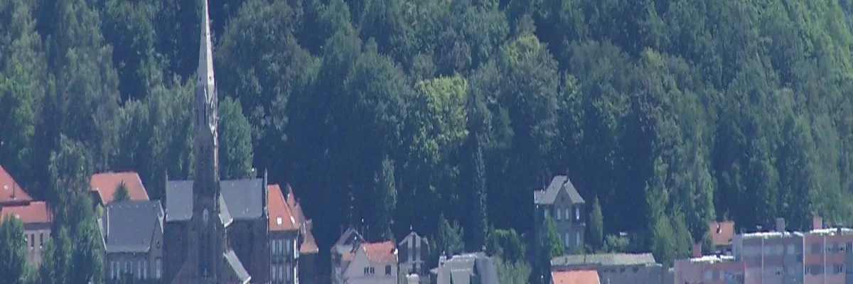 Image Entreprise monte escalier Forbach