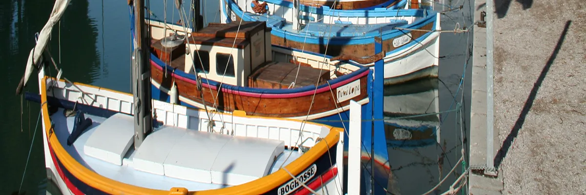 Image Entreprise monte escalier Frontignan