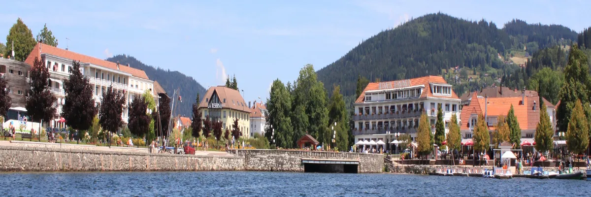 Image Entreprise monte escalier Gérardmer