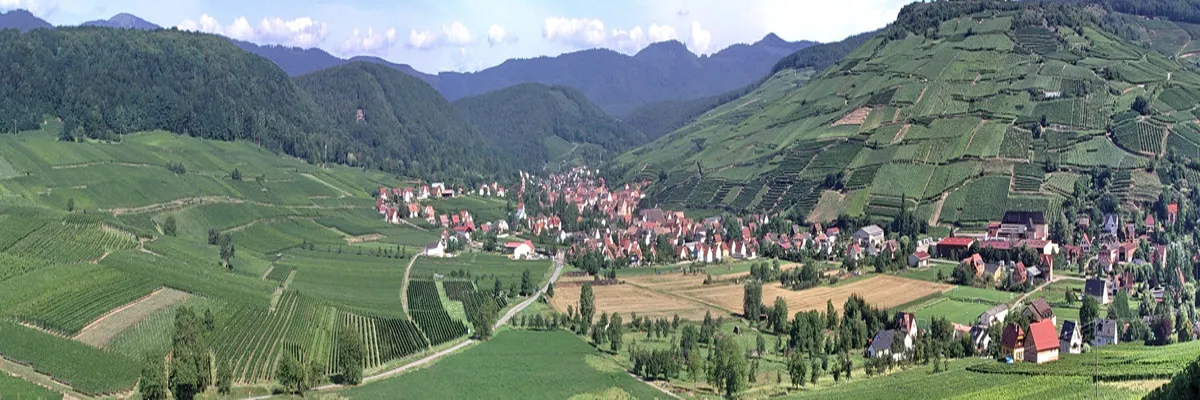 Image Entreprise monte escalier Grand Est