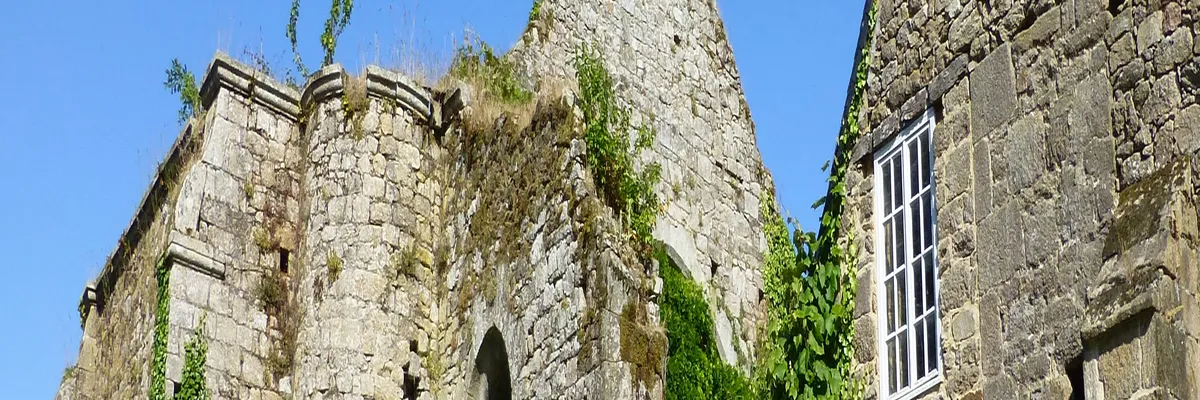 Image Entreprise monte escalier Guingamp