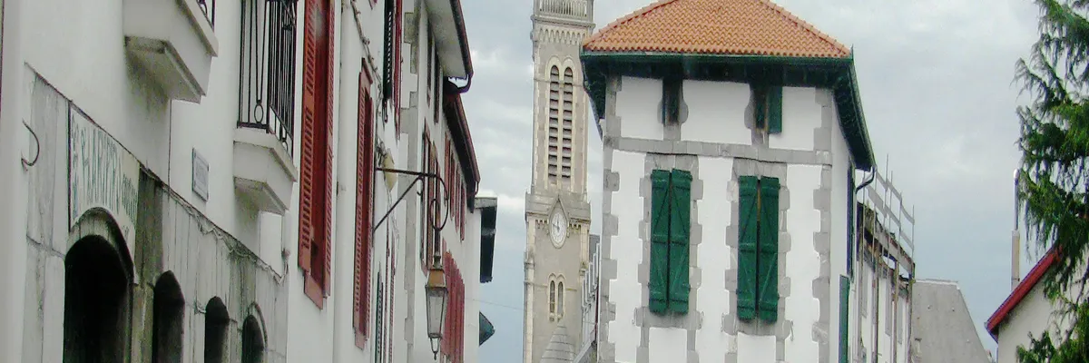 Image Entreprise monte escalier Hasparren