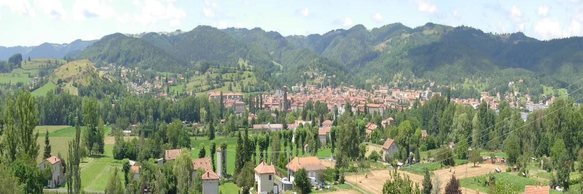 Image Entreprise monte escalier Haute-Loire