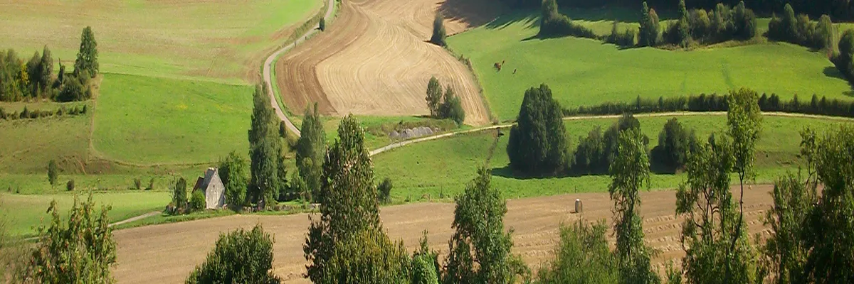 Image Entreprise monte escalier Haute-Marne
