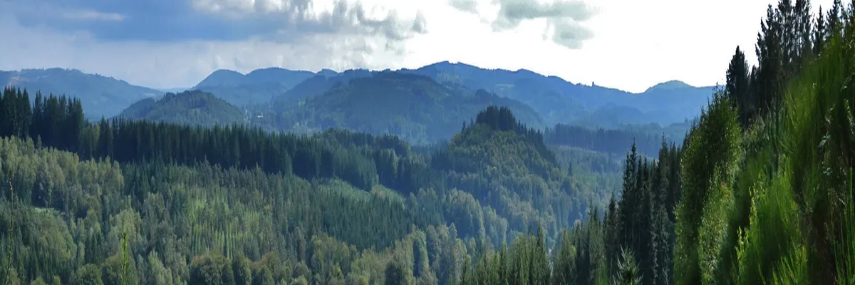 Image Entreprise monte escalier Haute-Vienne