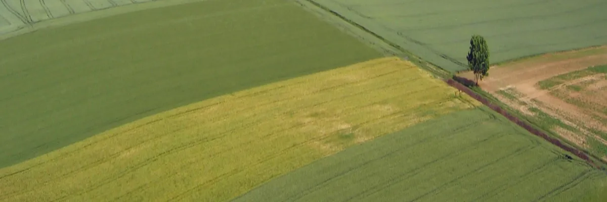 Image Entreprise monte escalier Hauts-de-France