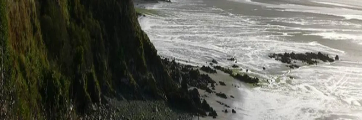 Image Entreprise monte escalier Hillion