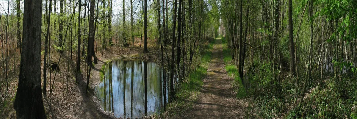 Image Entreprise monte escalier Indre