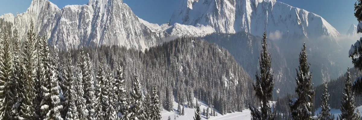 Image Entreprise monte escalier Isère