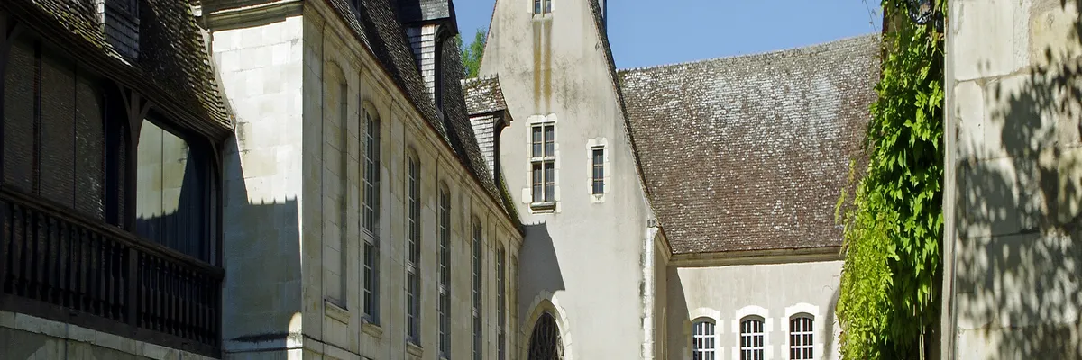 Image Entreprise monte escalier Issoudun