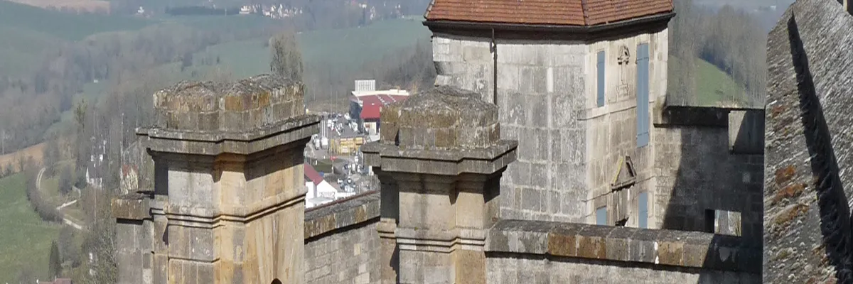 Image Entreprise monte escalier Langres