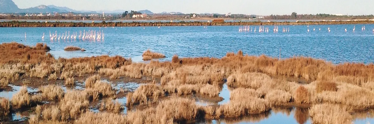Image Entreprise monte escalier Lattes
