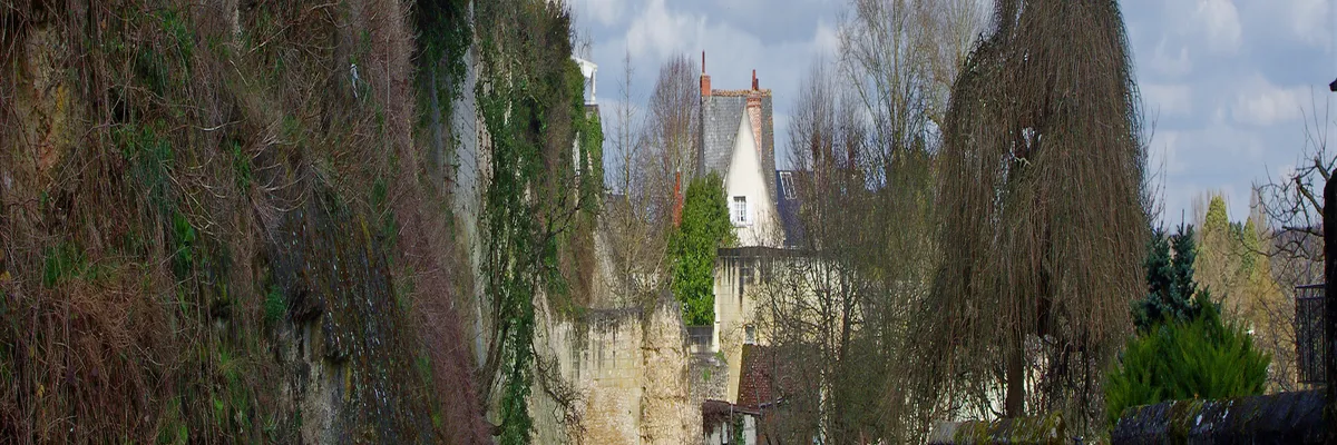 Image Entreprise monte escalier Loches
