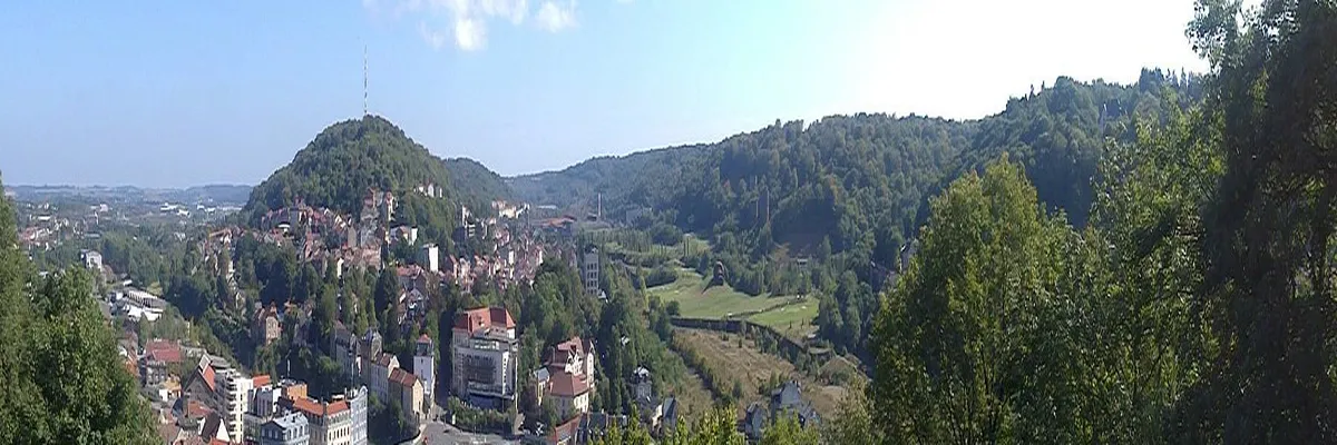 Image Entreprise monte escalier Longwy