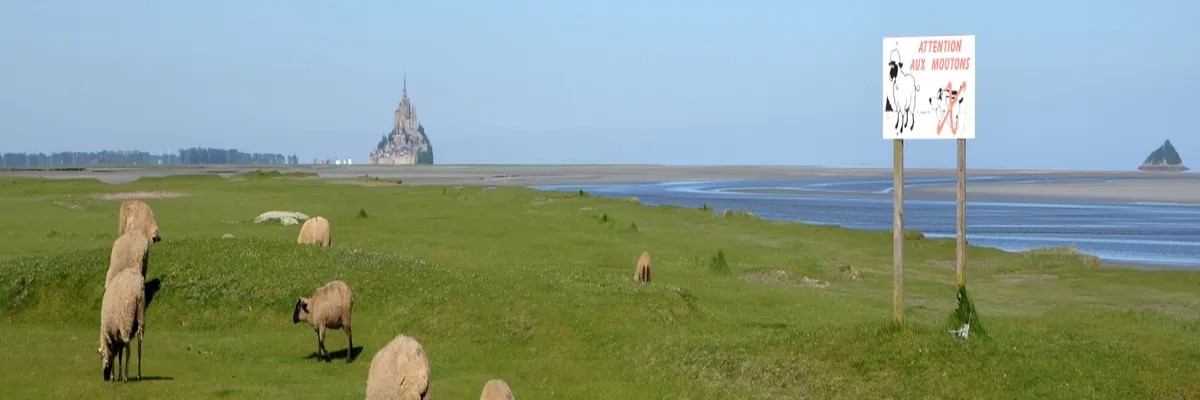 Image Entreprise monte escalier Manche