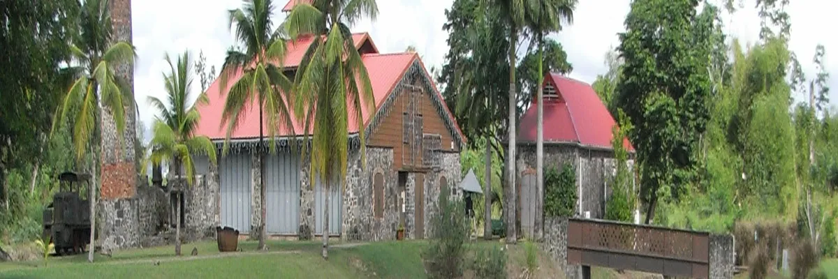 Image Entreprise monte escalier Martinique