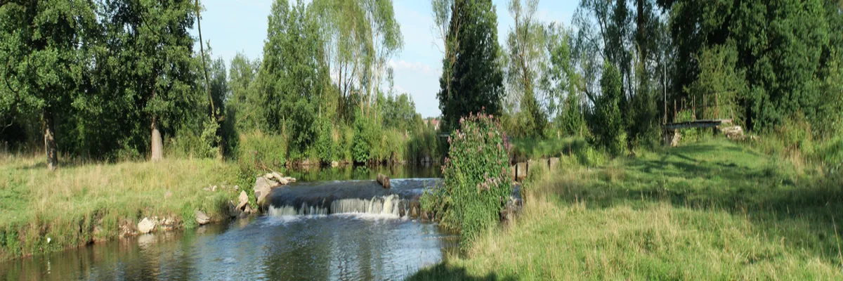 Image Entreprise monte escalier Meurthe-et-Moselle