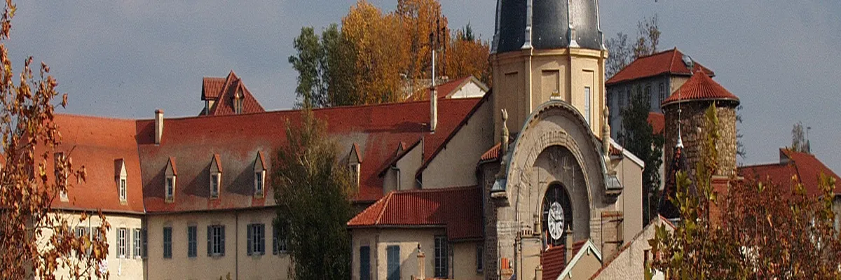 Image Entreprise monte escalier Montbrison