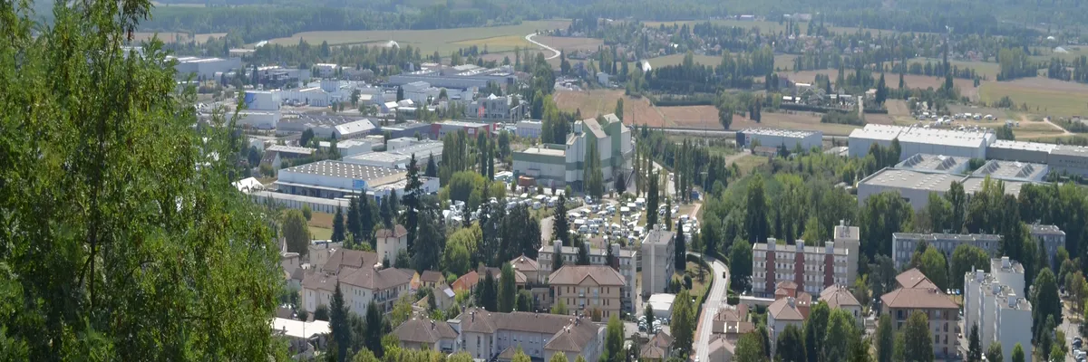 Image Entreprise monte escalier Montluel