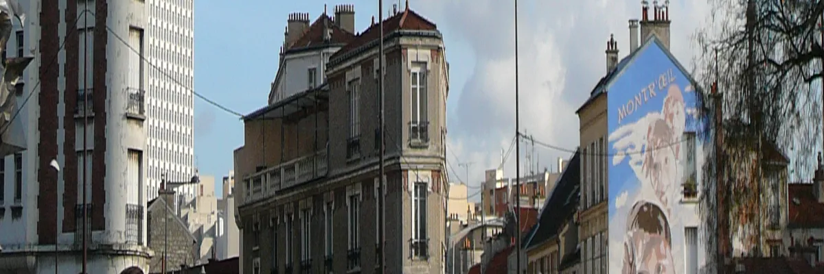 Image Entreprise monte escalier Montreuil