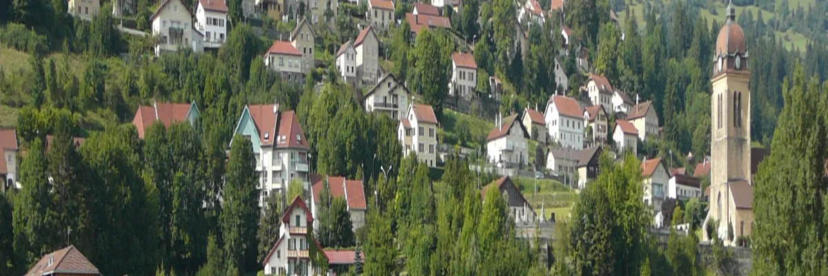 Image Entreprise monte escalier Morteau