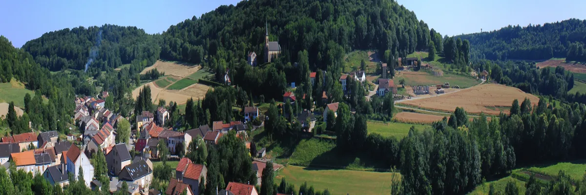 Image Entreprise monte escalier Moselle