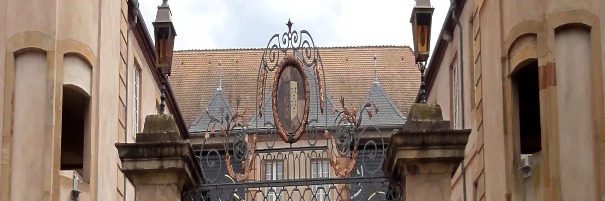 Image Entreprise monte escalier Mutzig