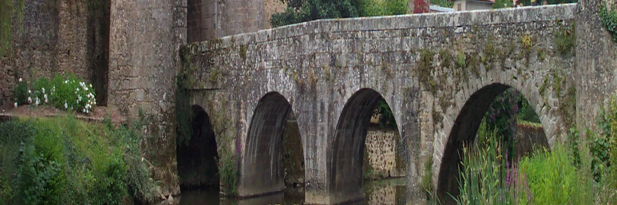 Image Entreprise monte escalier Parthenay