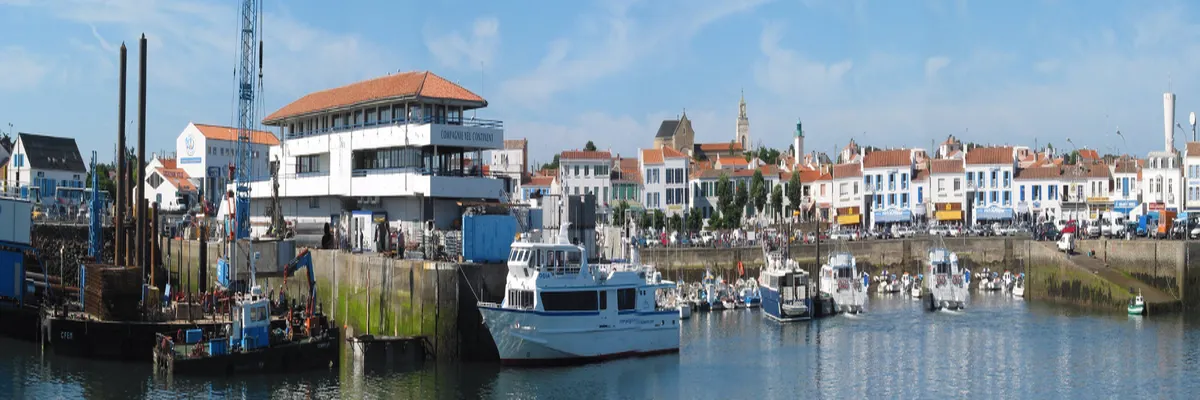 Image Entreprise monte escalier Pays de la Loire