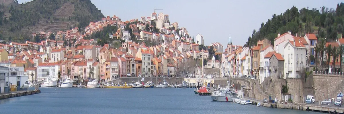 Image Entreprise monte escalier Port-Vendres