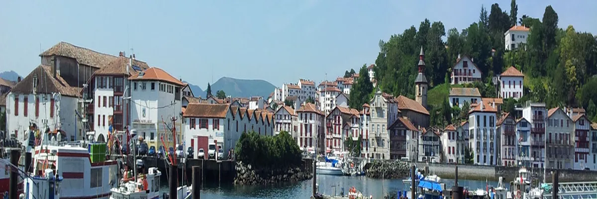 Image Entreprise monte escalier Pyrénées-Atlantiques