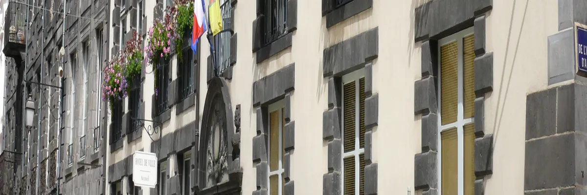 Image Entreprise monte escalier Riom