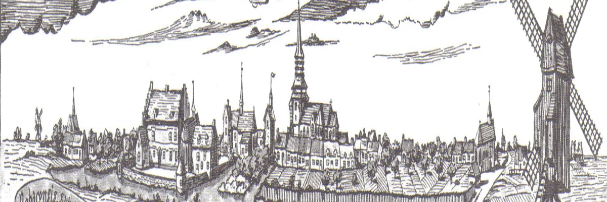 Image Entreprise monte escalier Roubaix