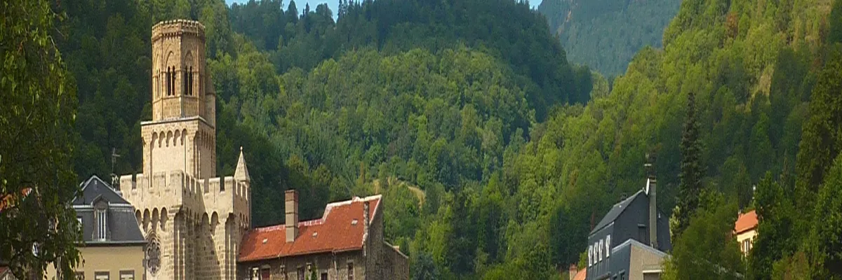 Image Entreprise monte escalier Royat