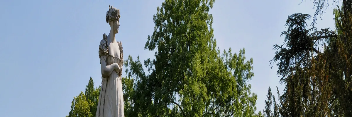 Image Entreprise monte escalier Rueil-Malmaison