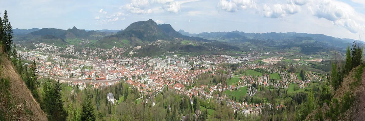 Image Entreprise monte escalier Saint-Dié-des-Vosges