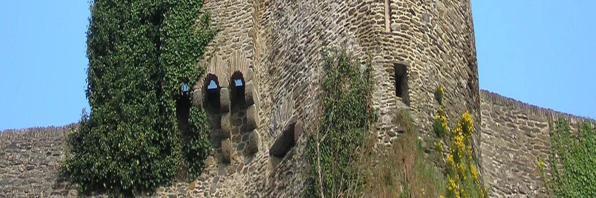 Image Entreprise monte escalier Saint-Lô