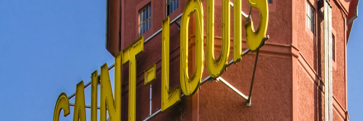 Image Entreprise monte escalier Saint-Louis